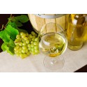 Vino da tavola bianco secco 13